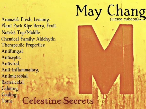 May Chang – Litsea